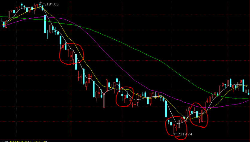 美股前瞻 | 三大股指期货齐涨,美联储戴利:下个月似乎没有大幅降息的必要性