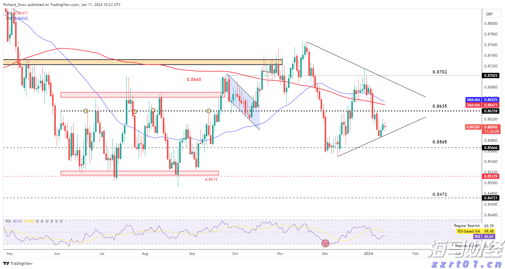 梅州海关供港澳活猪远程检疫监装模式正式启动