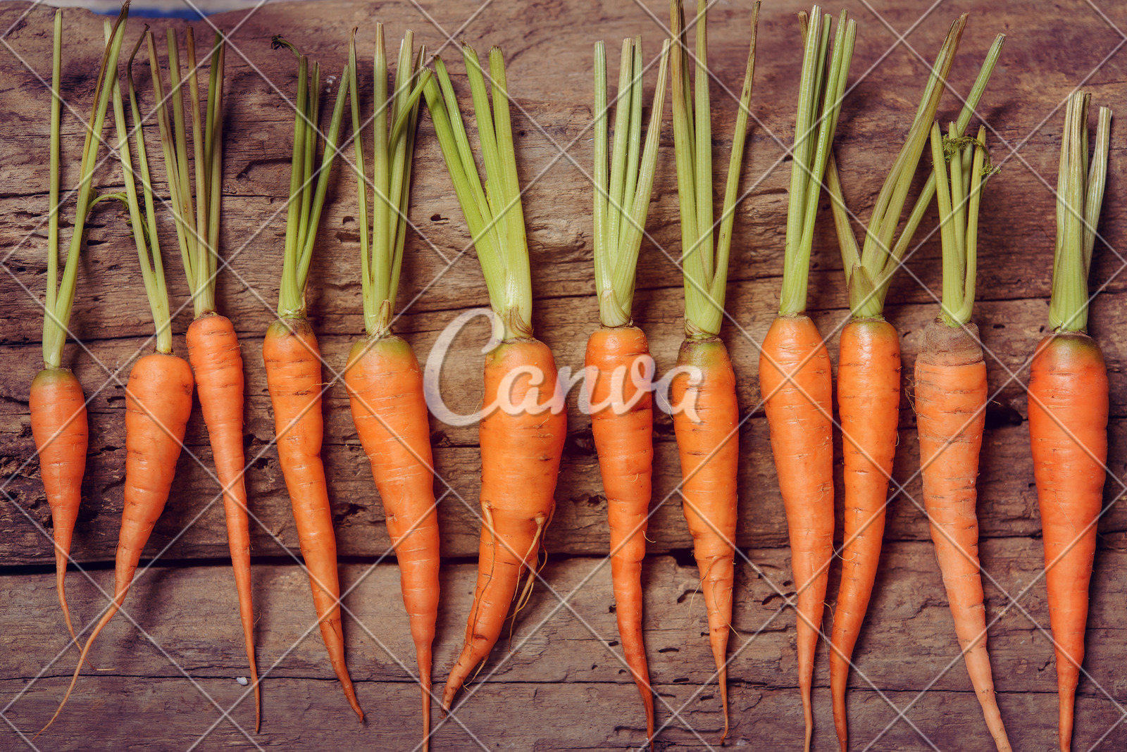 辽宁省市场监管局开展反不正当竞争专项执法行动